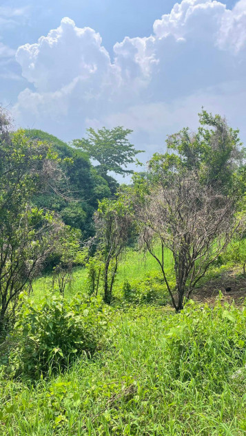 Lot For Sale In Sungay, Talisay Near Tagaytay