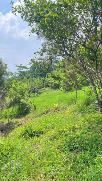Lot For Sale In Sungay, Talisay Near Tagaytay