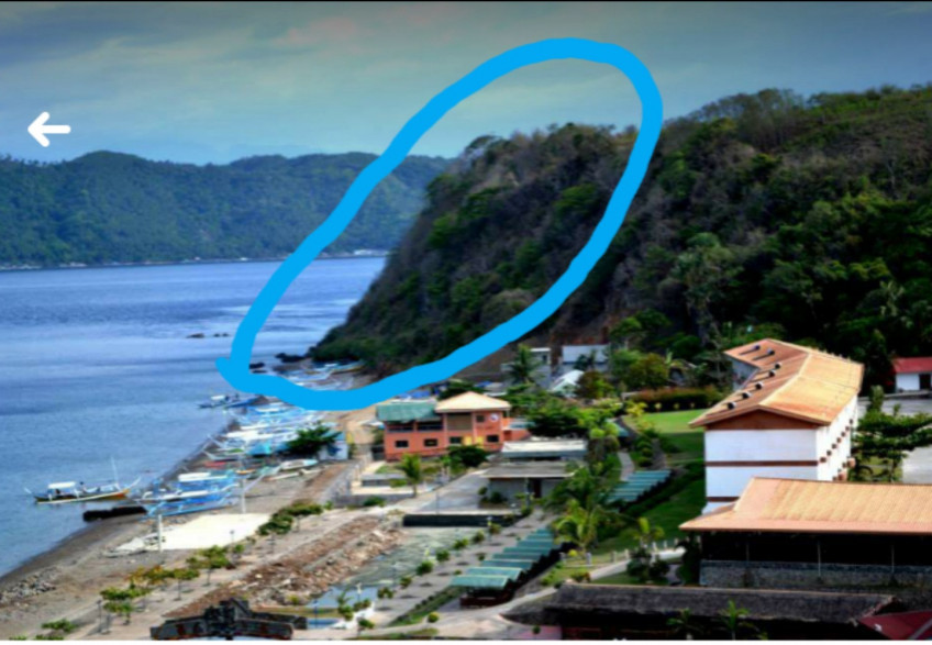 Land For Sale - Resort Area In Mabini, Batangas