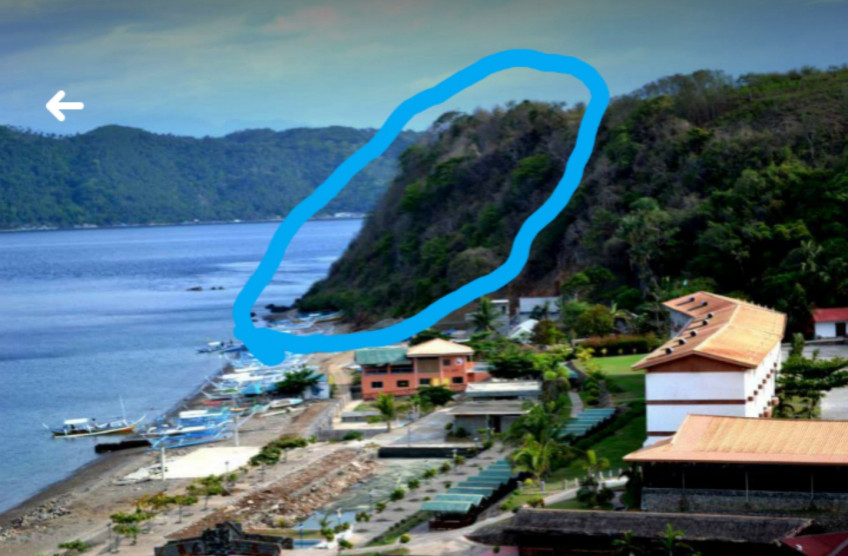 Land For Sale - Resort Area In Mabini, Batangas