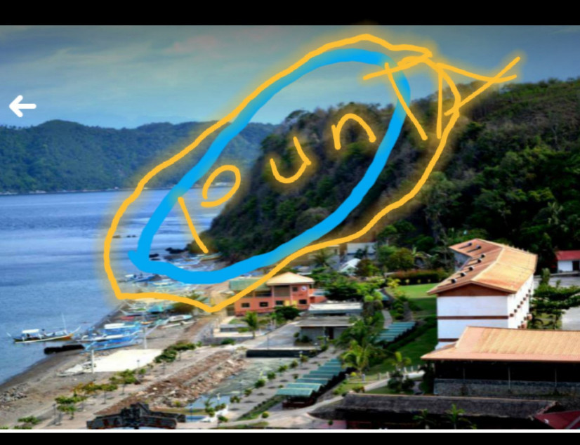 Land For Sale - Resort Area In Mabini, Batangas