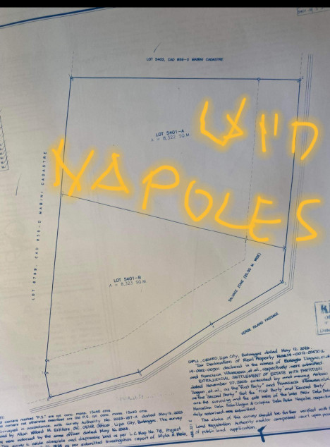 Land For Sale - Resort Area In Mabini, Batangas