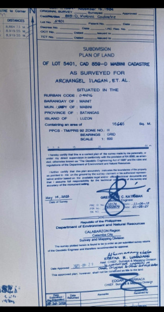 Land For Sale - Resort Area In Mabini, Batangas