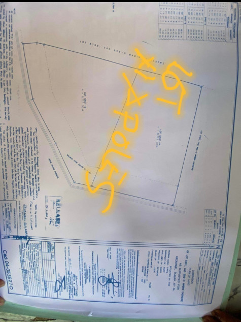 Land For Sale - Resort Area In Mabini, Batangas