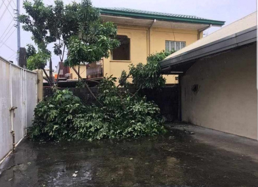 Huge House & Lot For Sale In Taguig Near BGC