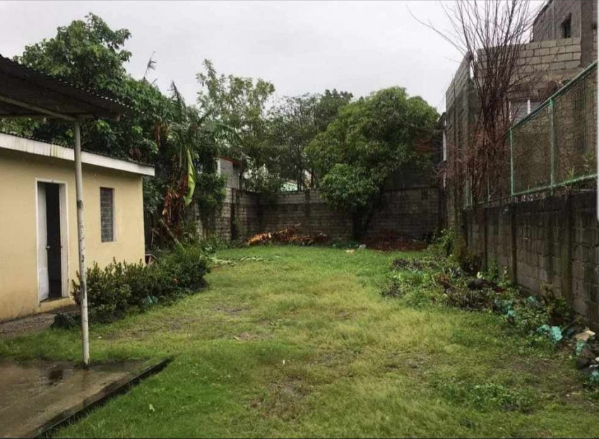 Huge House & Lot For Sale In Taguig Near BGC