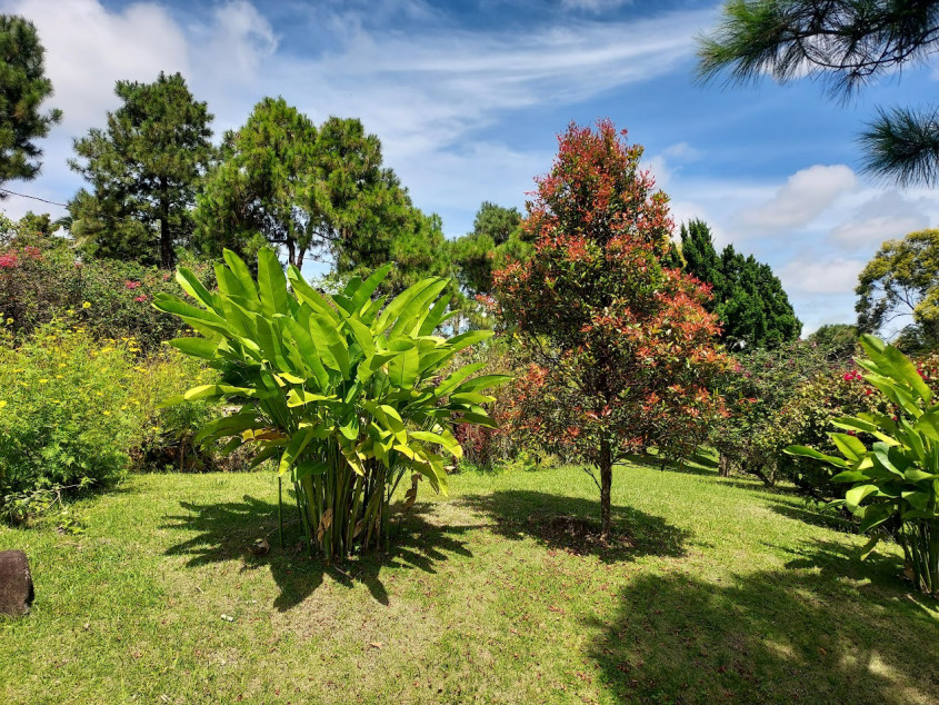 The Resodential Lots in Ponderosa Leisure Farm