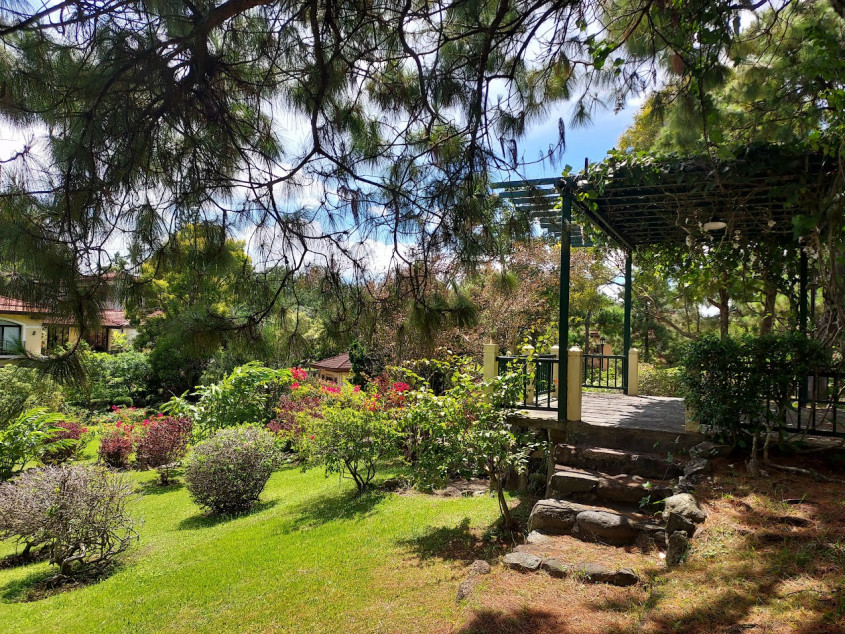 The Resodential Lots in Ponderosa Leisure Farm