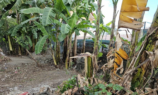 The Residential Lot For Sale In Gatchalian Subdivision, Las Piñas City