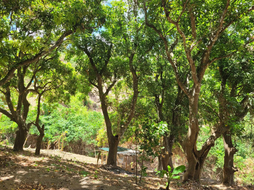 Prime Property with Breathtaking Views of Taal Lake and Volcano!