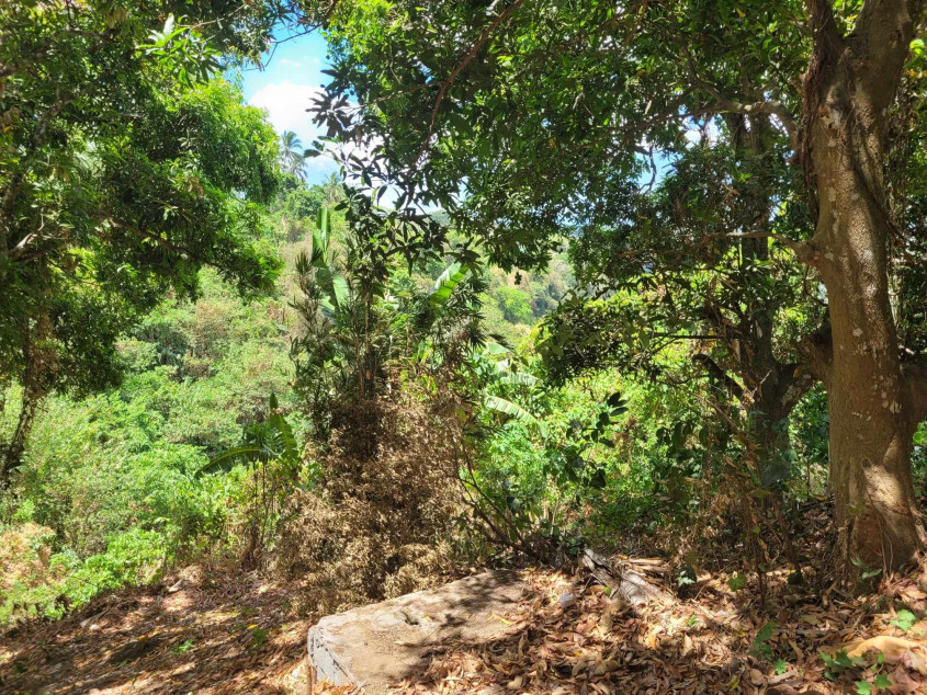 Prime Property with Breathtaking Views of Taal Lake and Volcano!