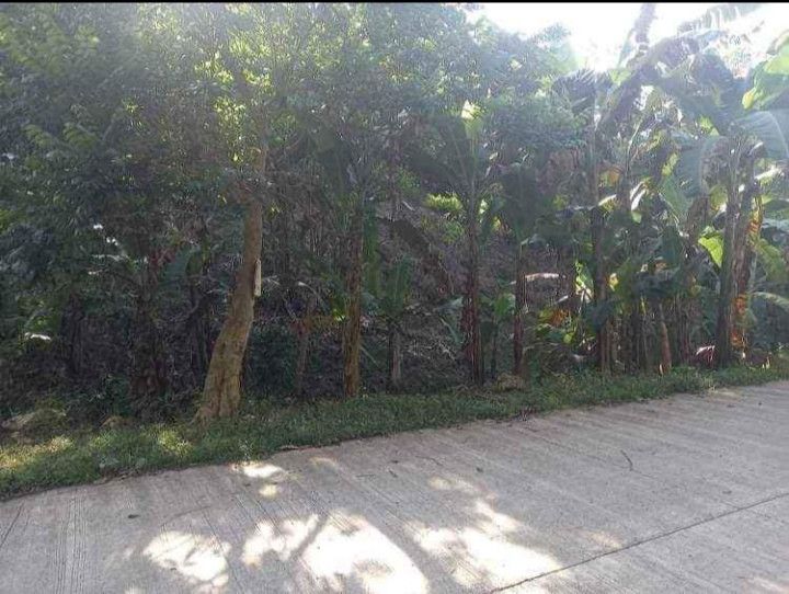 1000 SQM Lot With Fruit Bearing Trees In Misamis, Oriental