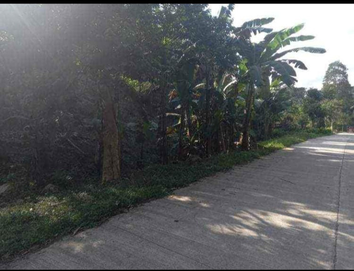 1000 SQM Lot With Fruit Bearing Trees In Misamis, Oriental