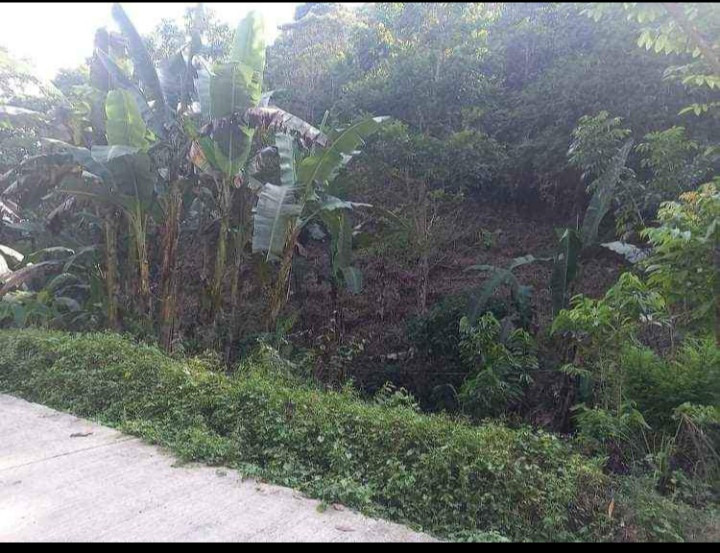 1000 SQM Lot With Fruit Bearing Trees In Misamis, Oriental