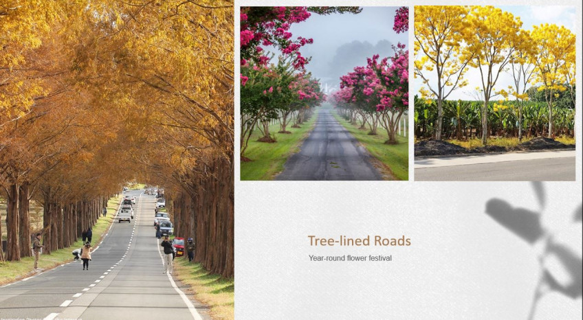 574 SQM High End Residential Lots For Sale in Arden Botanical Village Cavite