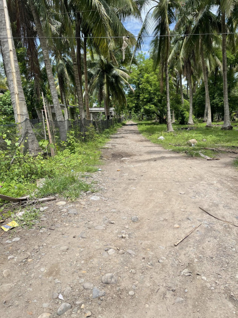 1.2 Hectares Lot For Sale (Agriculture) In Quezon