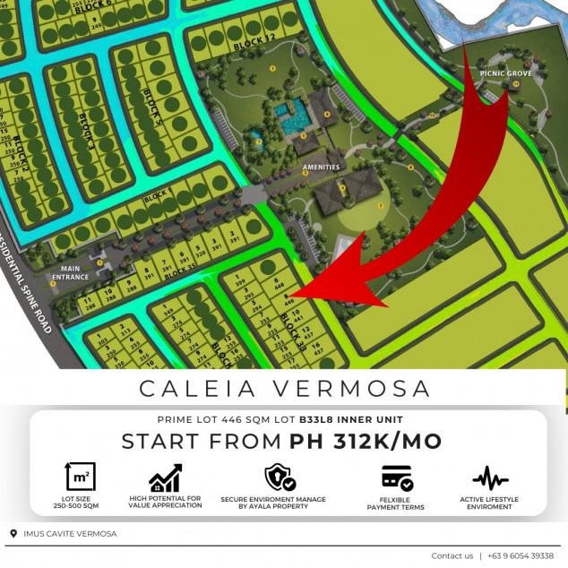 Lot For Sale in Imus Cavite 446 SQM Good For Investment