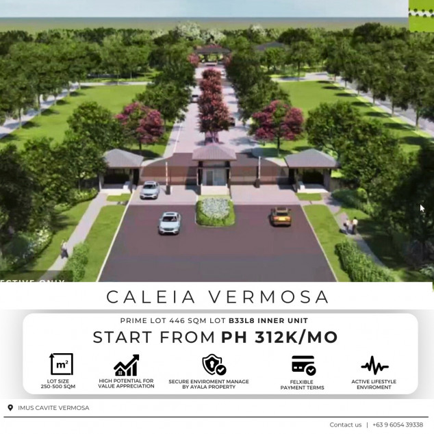 Lot For Sale in Imus Cavite 446 SQM Good For Investment