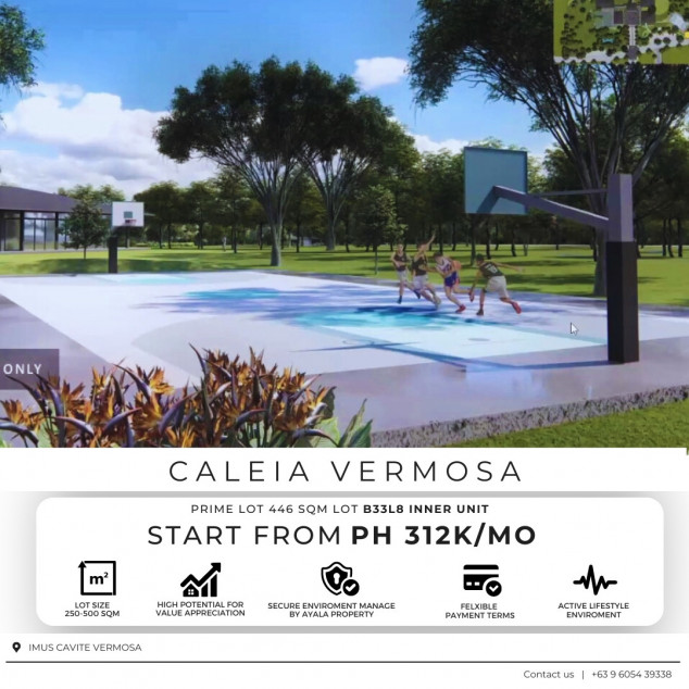Lot For Sale in Imus Cavite 446 SQM Good For Investment