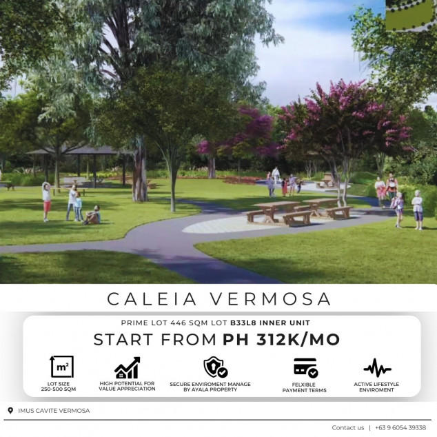 Lot For Sale in Imus Cavite 446 SQM Good For Investment