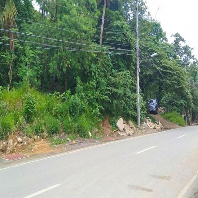 Commercial/Residential Lot for Sale - Pit-os, Talamban Cebu City, PH