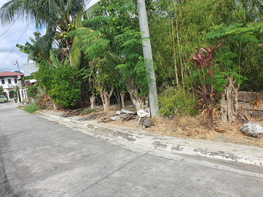 165 SQM Subdivision Lot In Minglanilla, Cebu