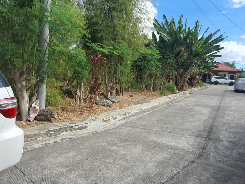 165 SQM Subdivision Lot In Minglanilla, Cebu