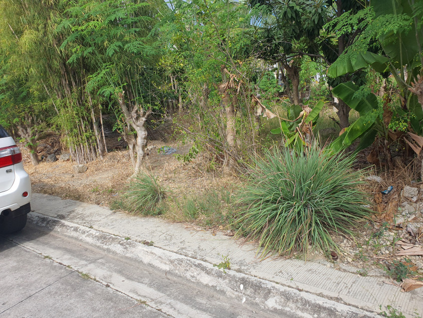 165 SQM Subdivision Lot In Minglanilla, Cebu