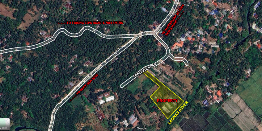 Agricultural Lot - Tiaong Quezon - 7864 SQM