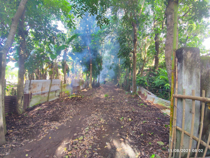 Agricultural Lot - Tiaong Quezon - 7864 SQM