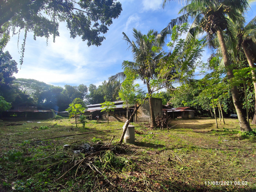 Agricultural Lot - Tiaong Quezon - 7864 SQM