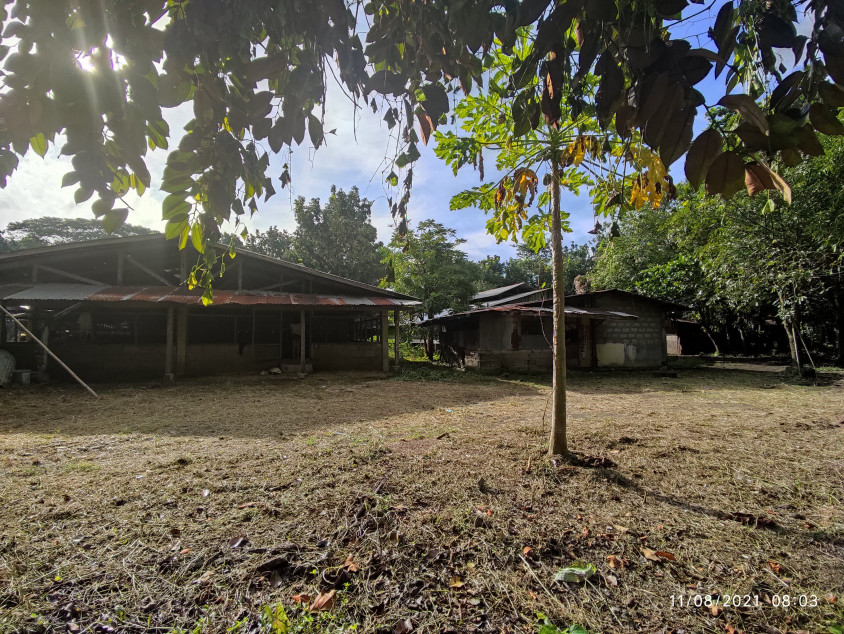 Agricultural Lot - Tiaong Quezon - 7864 SQM