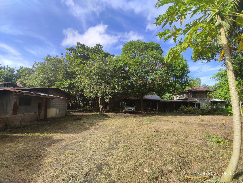 Agricultural Lot - Tiaong Quezon - 7864 SQM