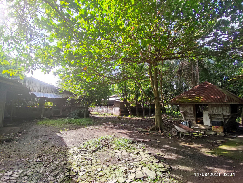 Agricultural Lot - Tiaong Quezon - 7864 SQM