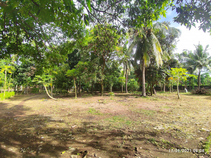 Agricultural Lot - Tiaong Quezon - 7864 SQM