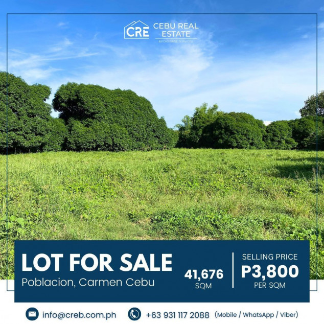 4 Hectare Residential/Commercial Lot for Sale - Carmen Cebu