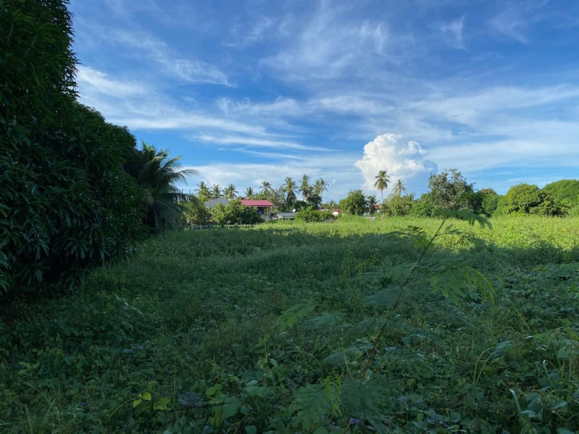 4 Hectare Residential/Commercial Lot for Sale - Carmen Cebu