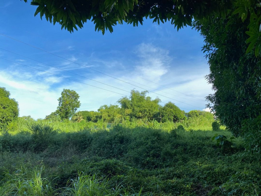 4 Hectare Residential/Commercial Lot for Sale - Carmen Cebu