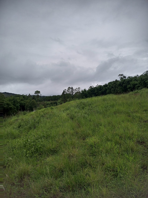 Vacant Farm Lot In Manolo Fortich, Bukidnon