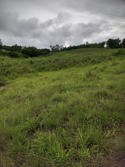 Vacant Farm Lot In Manolo Fortich, Bukidnon