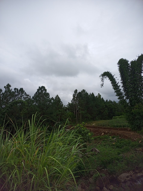 Vacant Farm Lot In Manolo Fortich, Bukidnon