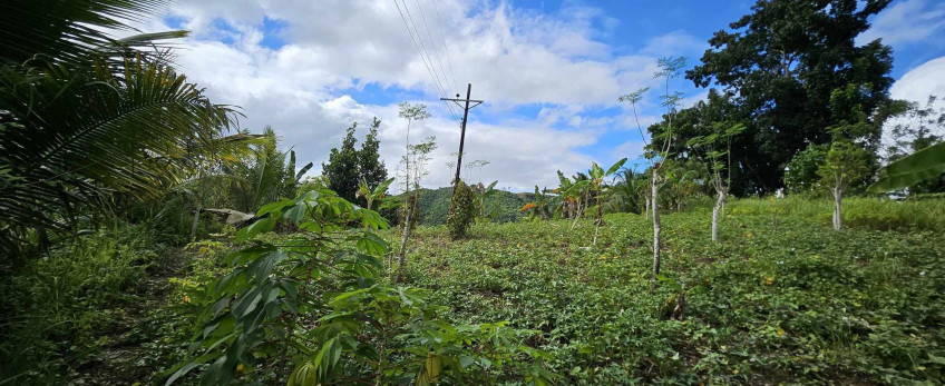 1,000 SQM Lot For Sale In Talisay, Cebu