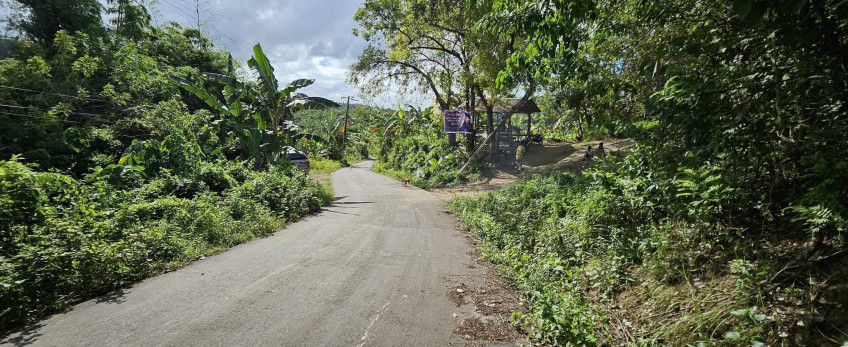 1,000 SQM Lot For Sale In Talisay, Cebu