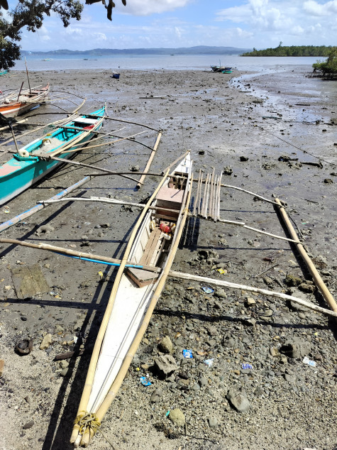 Farm Lot In Gumaca, Quezon For Sale (With Beach Front)