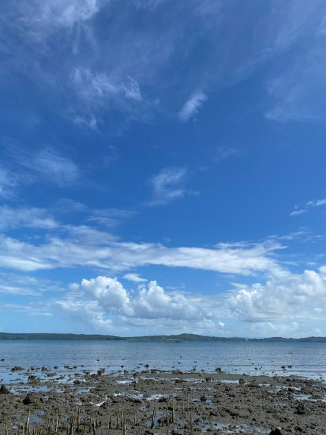 Farm Lot In Gumaca, Quezon For Sale (With Beach Front)