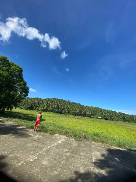 Farm Lot In Gumaca, Quezon For Sale (With Beach Front)