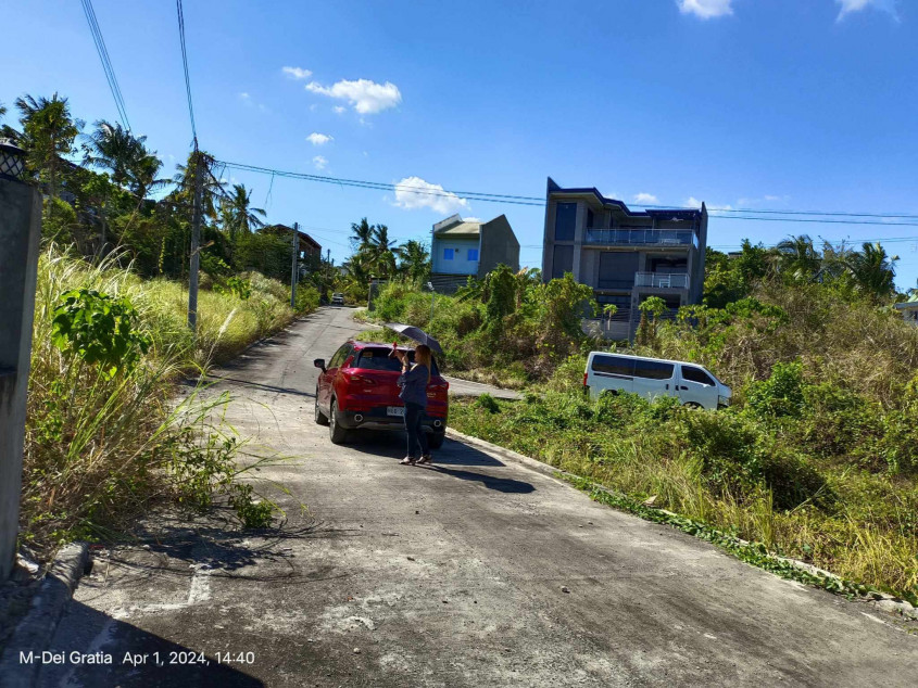 Lot For Sale inside Subdivision in Minglanilla Cebu