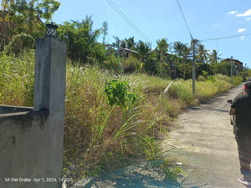 Lot For Sale inside Subdivision in Minglanilla Cebu