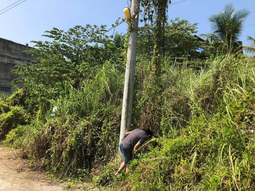 Lot For Sale inside Subdivision in Minglanilla Cebu