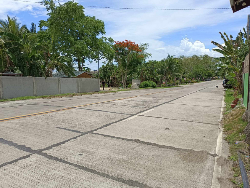 Beach Lot For Sale San Remigio Cebu